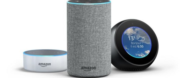 Czy Amazon Echo działa z wieloma użytkownikami?