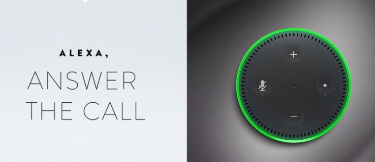 لماذا يومض جهاز Echo Dot باللون الأخضر؟