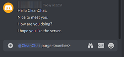 CleanChat purge