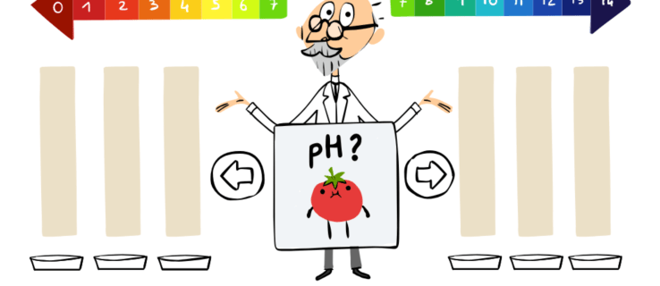 Jocs de Google Doodle: posa a prova els teus coneixements sobre l'escala de pH amb aquest doodle interactiu sobre S.P.L Sørensen
